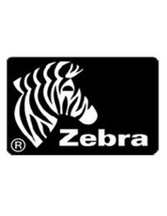 Zebra Z-Perform 1000T 102 x 152 mm